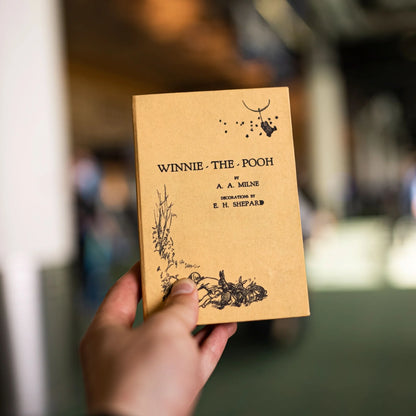Winnie The Pooh - Book Passport Holder