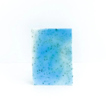 The Hitchhiker's Guide to the Bath Tub - Bookish Soap Collection